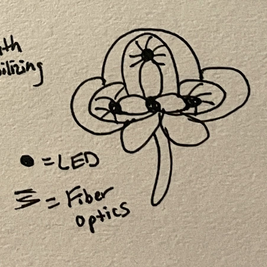 LED and Fiber Optic Possible Placements Sketch